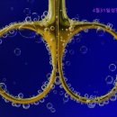 4월31일성형외과의원 이미지