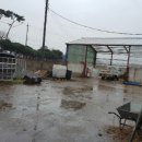 춘수농장 이미지