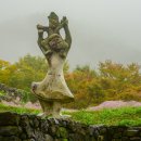 칠곡, 가산수피아에는 핑크뮬리가 피었습니다 이미지