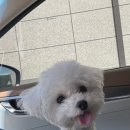 스테이수목 이미지