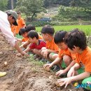 평동전통떡마을 이미지