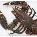 (주)박상 이미지