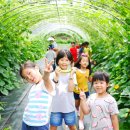 정우농장 이미지