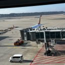 (주)투어리스트제주 | 마쓰야마] 부모님과 함께한 마쓰야마 1일차 (7C1703-마쓰야마공항-도고온센-후나야료칸-가이세키정식...