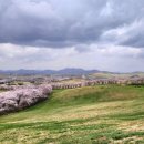 한우목장 이미지