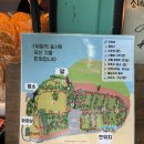 신흥목장 | 남자친구랑 제주여행 2일차 (비밀의숲/블루보틀제주/너도나도ATV/별하비스테이/그때그집)