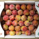 청성농장 이미지