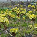 영후농장 이미지