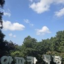 가야목장 | 제주 나들이로 도치돌 알파카목장다녀온 후기 제주 알파카 목장 정보 이거 보시면 됩니당