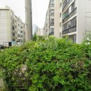 신현로12번길 이미지