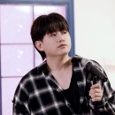 우디가