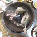 한방토종백숙 이미지