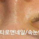 연화타로앤네일