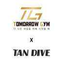탠다이브