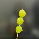 샤론꾸밈방
