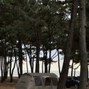 전북 고창 노을과 갯벌이 멋진 구시포노을캠핑장 후기