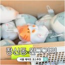 신세계공업 | 동대문 창신동 완구거리 아이랑 방문후기