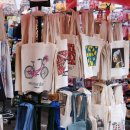 별빛백도 이미지