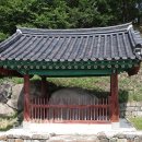 신암학교 앞 이미지