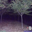 기산1리마을회관 이미지