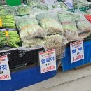 삼부마트 | [홈마트 삼부점 몰아보기] 성남 태평역 근처 재래시장과 마트의 하이브리드 활어회, 야채의 놀라운 가격.