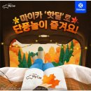 마이카닥터
