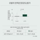 [광고] 탈모 고민 끝! 유한양행 모큐락 플러스 모발 성장 유산균 4주 체감 효과 완벽 분석