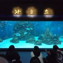 왕피천공원(동쪽) 이미지