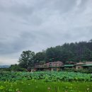 황토흙펜션 꿈의대화 | 촌캉스 제대로 즐기고 싶다면, 동해시 '황토흙펜션꿈의대화' 강추!!(feat.솥뚜껑바베큐)