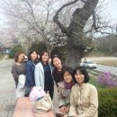 향교 앞 이미지