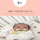 드림소프트 | 초보엄마 육아템 추천 더블하트 소프트버디 스윗드림 쪽쪽이 내돈내산 후기