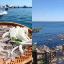 안성흑염소농장 이미지