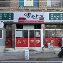 경북곰장어 이미지