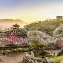 매화시장화장실 네이버블로그