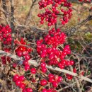 원천호수사거리 이미지