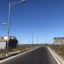 뚜벅이 제주 여행 4일차 ꯁ _ 월정리해변, 떡하니 문어떡볶이, 모알보알, 와인바 플레르 엣방 화방 ꯁ