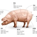 덕소돼지뽈집 - 노원구 한글비석로 383 | 덕소돼지뽈집