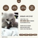 또멍냥 이미지