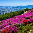 그루 - 안산시 단원구 광덕2로 156 | 그루