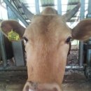 이종섭 농장 이미지