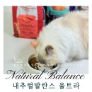 (주)내추럴발란스코리아 | 고양이사료추천 내추럴발란스 울트라 프로틴 리얼 살몬 &amp; 치킨 캣레시피 기호상 좋은 그레인프리 사료 신상