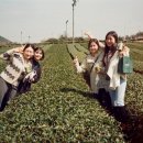 제주에산다면 이미지