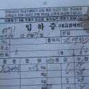 66티에이치 이미지