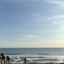 마리(MARI) | 발리 데이클럽추천 마리비치클럽 Mari Beach Club 수영장 반나절 이용 후기
