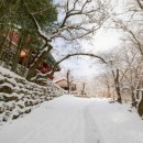 곡성-175 | 곡성 도림사 | 동악산 자락에서 만나는 천년의 고요함