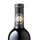 뉴월드인터네셔널 이미지