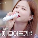 EXID 솔지 노래모음 이미지