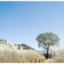 구계한우 이미지