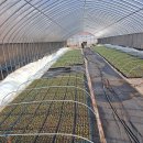 동처농장 이미지