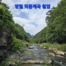 2026년 7월 12일(일) - 영월 직동계곡 철엽 이미지
